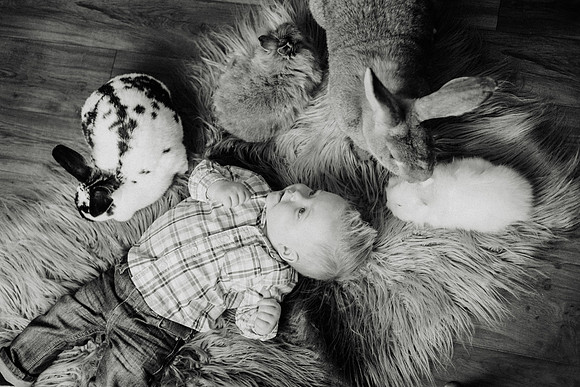 Oliver Bunnies-66