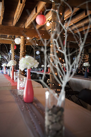 Wedding (386 of 2031)