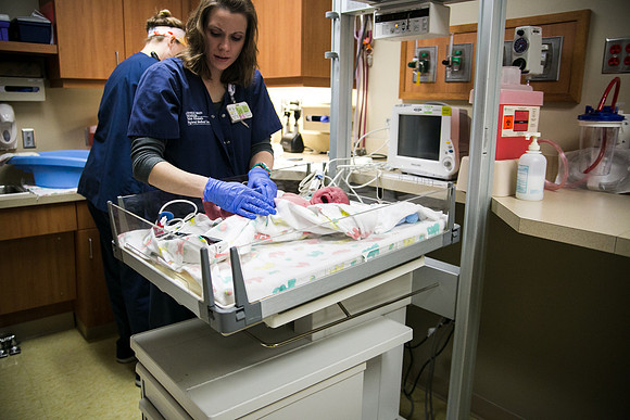 Matthew Birth-354