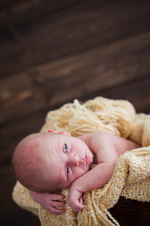 Quinn Newborn-28