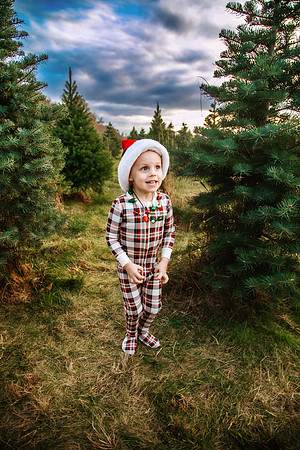 Tree Farm 2024-48