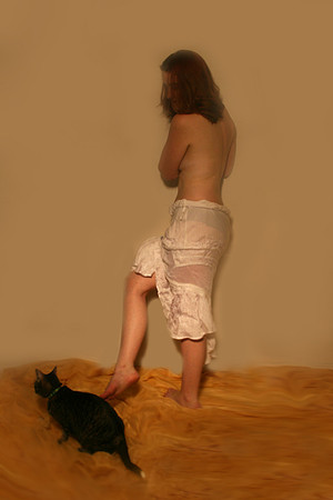 cat3