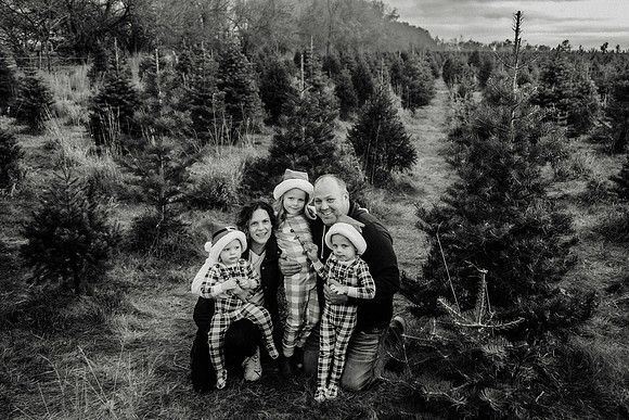 xTree Farm 2024-82