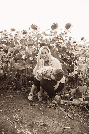 xSunflowers-22
