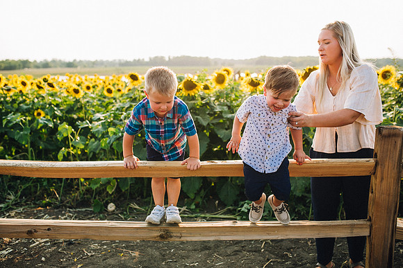 Sunflowers-171