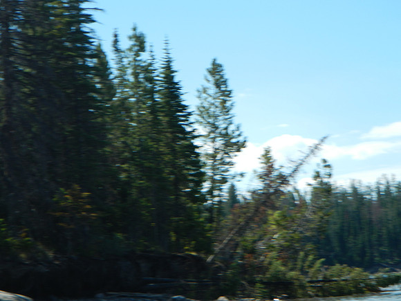 DSCN0051