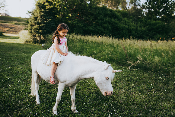 Unicorn 2021-24