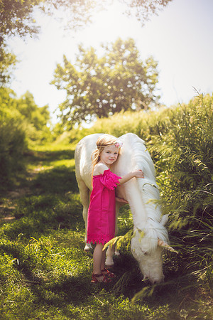 Unicorn-31