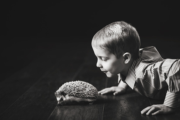 Wildlife-29bw
