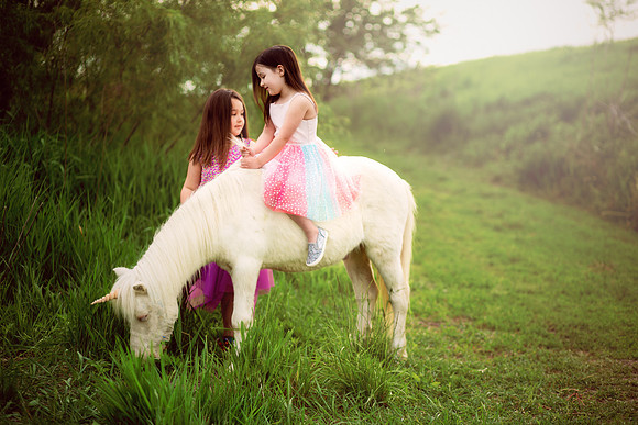 Unicorn 2019-23