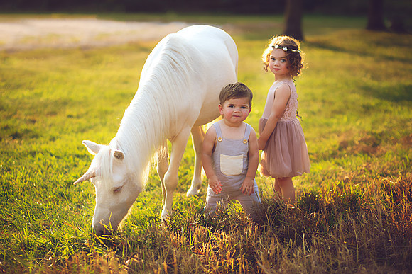 Unicorn-28