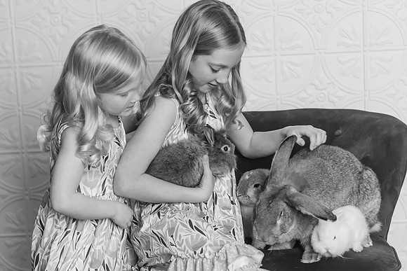 Bunnies-161