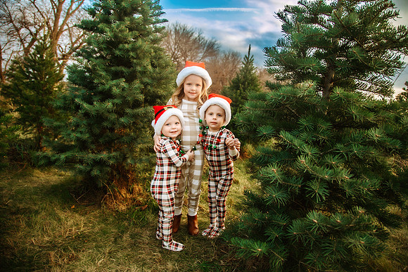 Tree Farm 2024-32