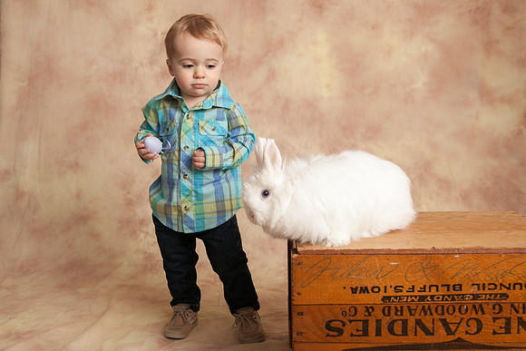 Bunny-2016-37