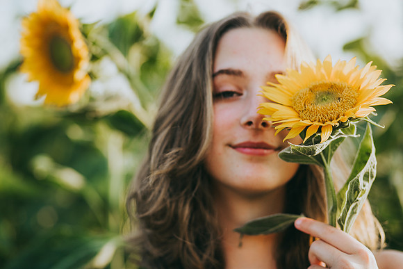 Sunflowers 2021-30