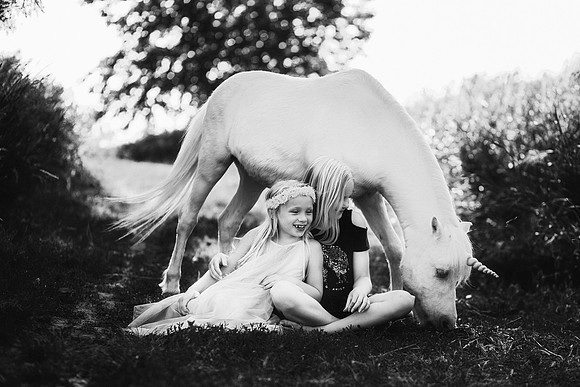 xUnicorn-24