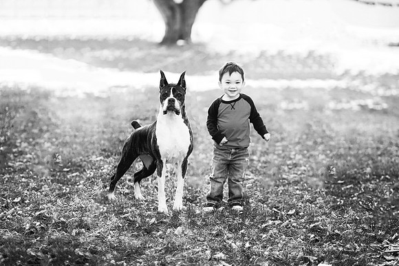 xPuppies 2020-12