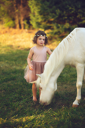 Unicorn