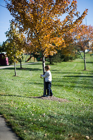 Fall 2018