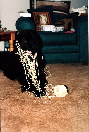 Loki 069