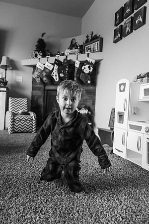 Xmas 2017-310