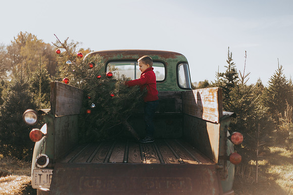 Tree Farm-37