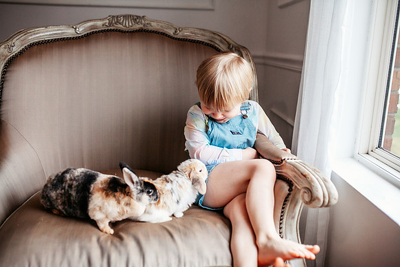 Bunny 2025-23