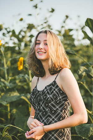 Sunflowers 2021-23
