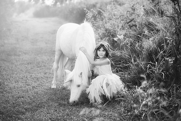 xUnicorns-5