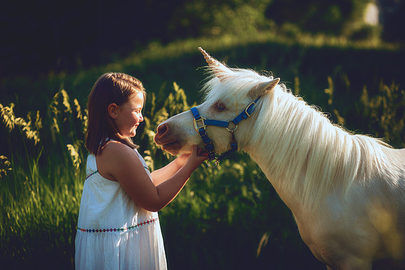 Unicorn-29