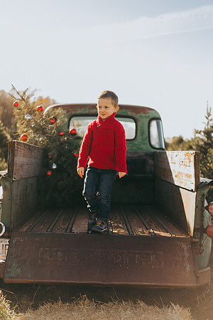 Tree Farm-41