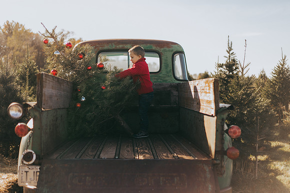 Tree Farm-36