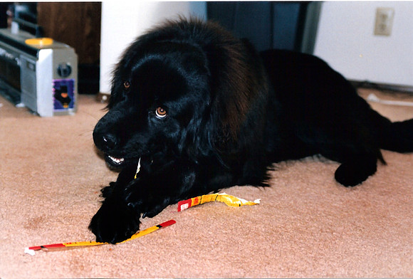Loki 062