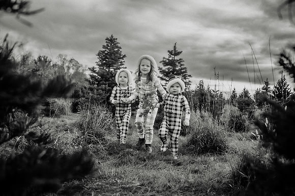 xTree Farm 2024-121