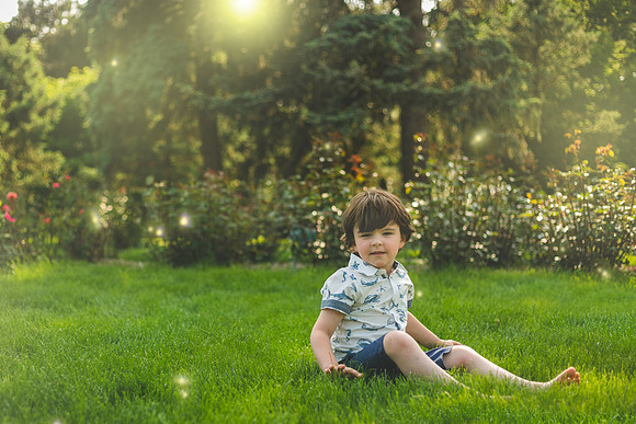 Fireflies 2019-41