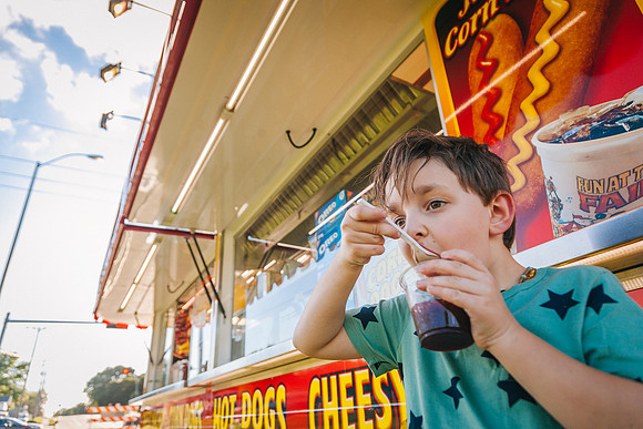Fair 2017-231