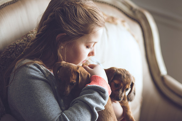 Puppies_-40
