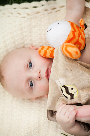 Quinn 4mth-65