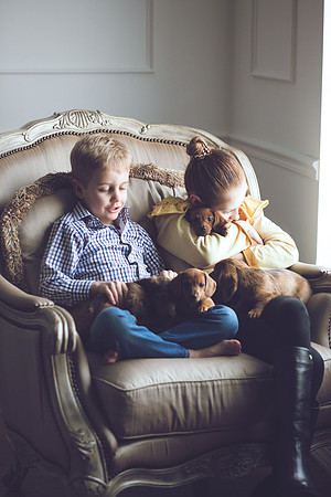 Puppies_-34