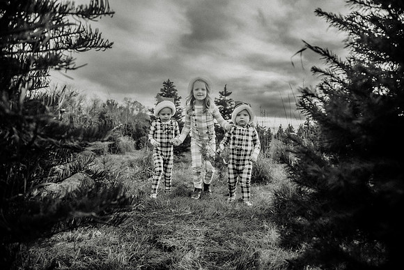 xTree Farm 2024-124