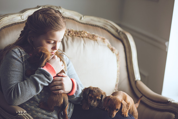 Puppies_-27