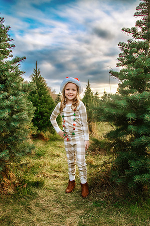 Tree Farm 2024-60