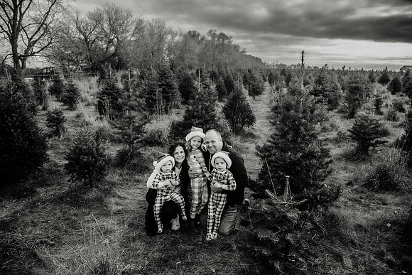 xTree Farm 2024-83
