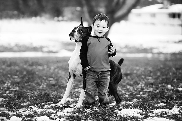 xPuppies 2020-31