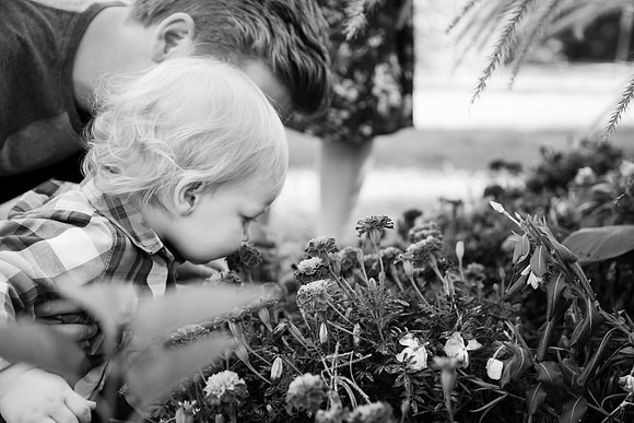 Family 2017-242