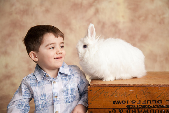 Bunny-2016-30