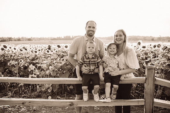 xSunflowers-180