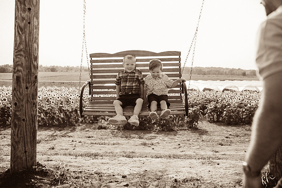 xSunflowers-127