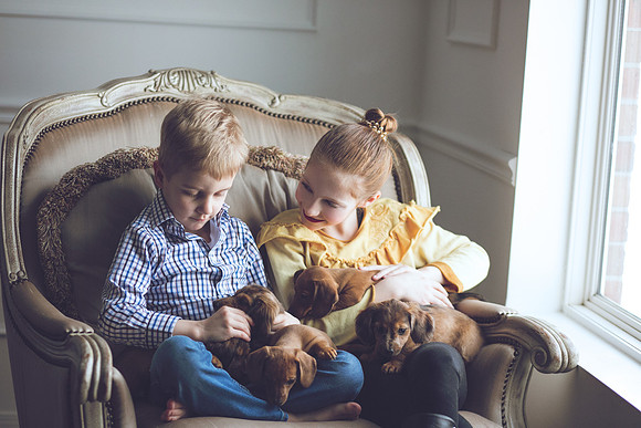 Puppies_-31