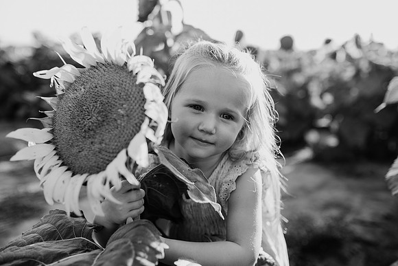 xSunflower 2022-76